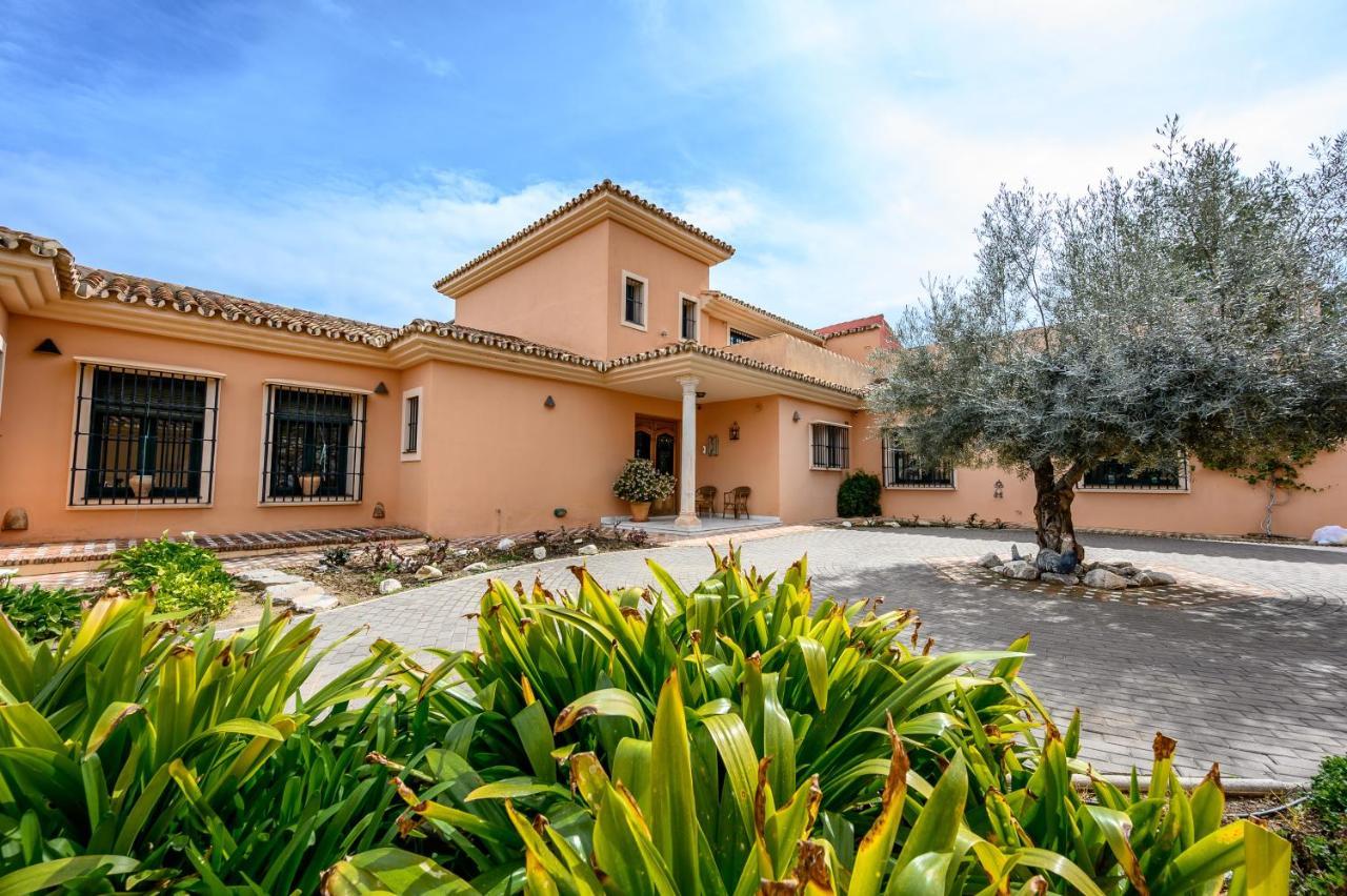 Villa Saguaro Malaga Alhaurín de la Torre Εξωτερικό φωτογραφία
